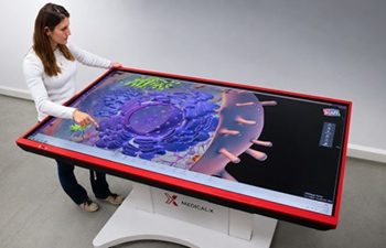 The 3D anatomy table