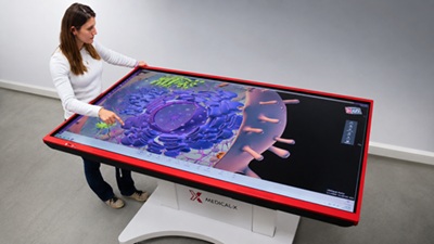 The 3D anatomy table