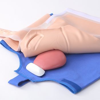 Puerperal Uterus Palpation Training Model (Wearable type)
