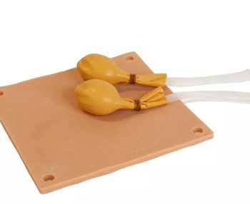 Canine Neuter Simulator Replacement Parts"