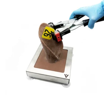 Ear Tag Trainer/Cow