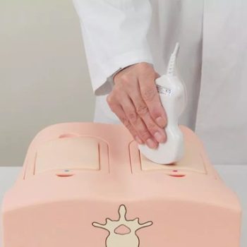 Lung Ultrasound Training Phantom