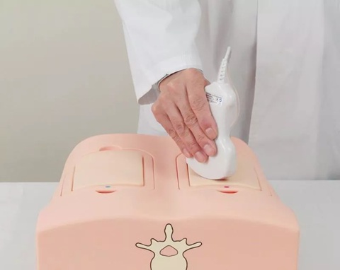 Lung Ultrasound Training Phantom