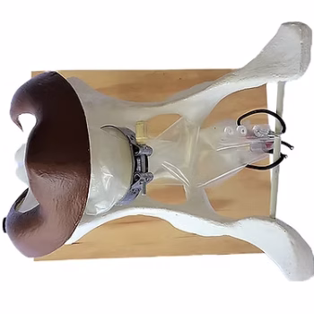 Metri-Treating Kit Includes: