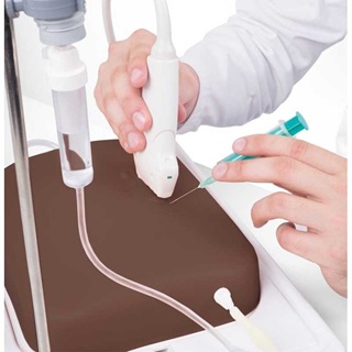 Ultrasound block with three blood vessels